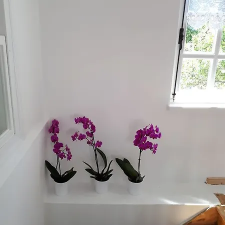 Eden In Teos Siğacık