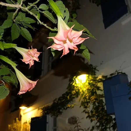 Eden In Teos * Siğacık