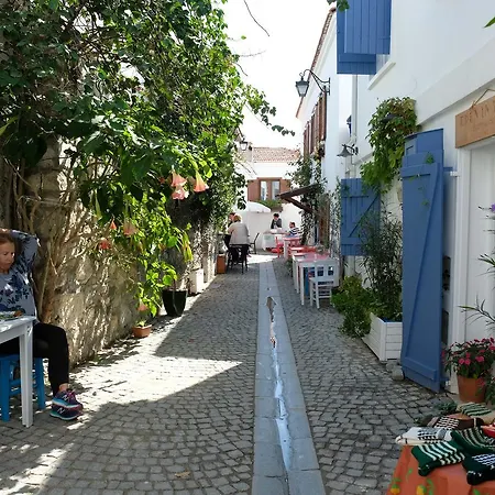 Eden In Teos Siğacık